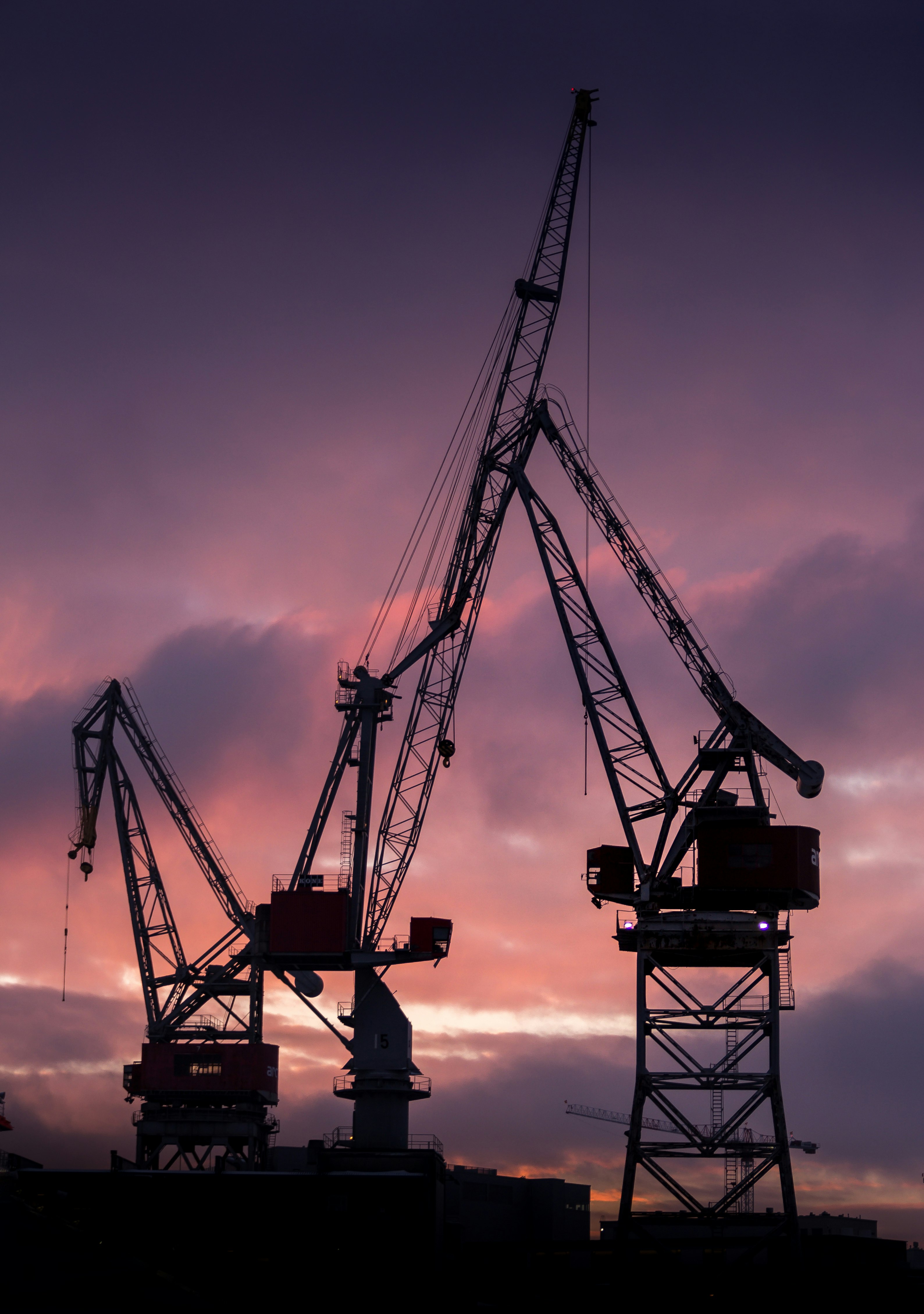 silhouette of crane